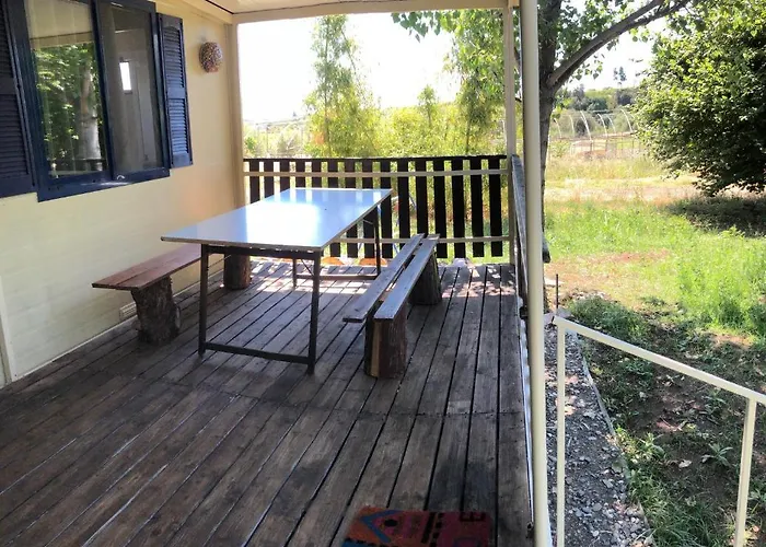 Apricot Séjour à la ferme *