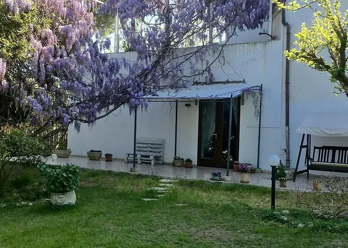 Apricot Séjour à la ferme *