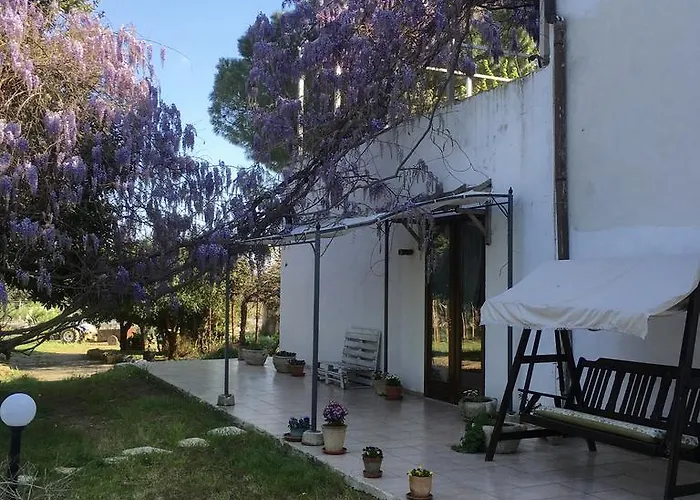 Séjour à la ferme Apricot