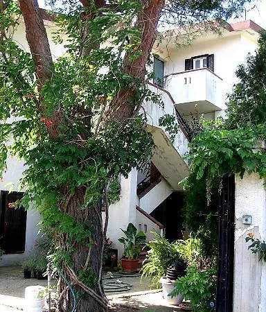 Apricot Farm stay Policoro