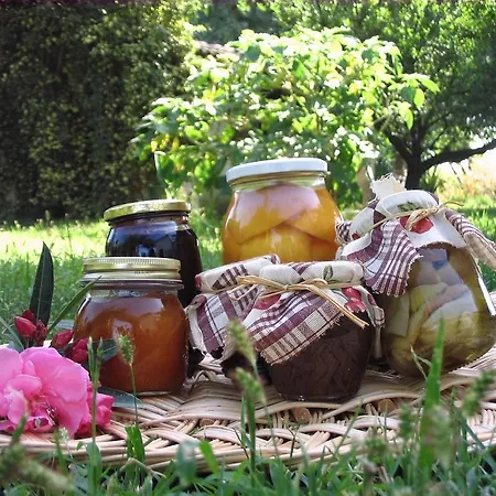 Apricot Farm stay *