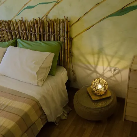 Apricot Farm stay *