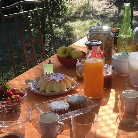 Farm stay Apricot