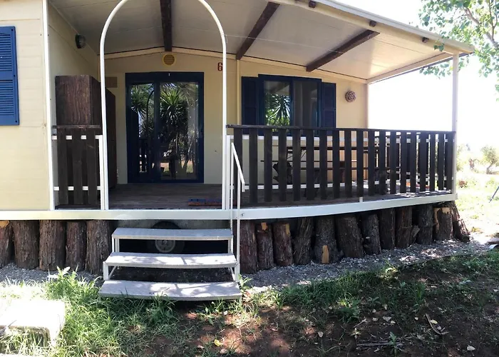 Apricot בית חווה פוליקורו