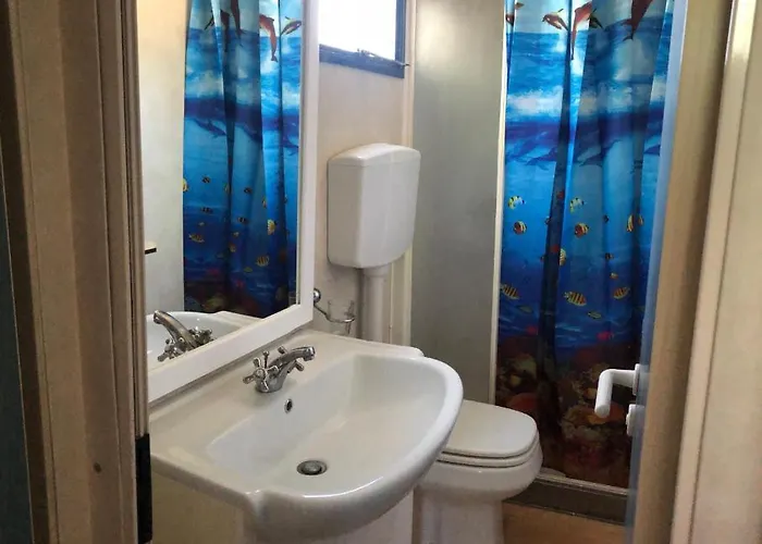 Apricot * פוליקורו