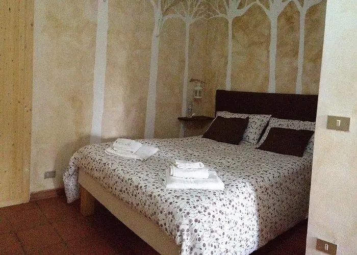 Apricot * פוליקורו