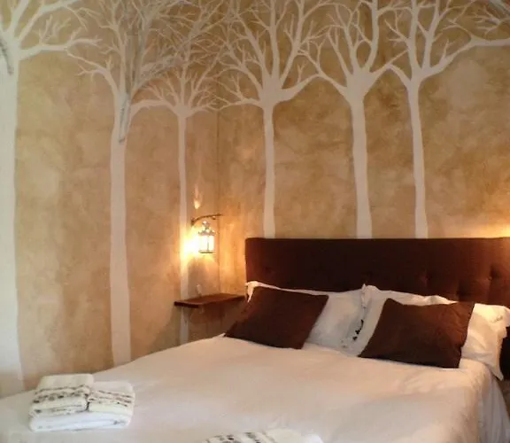 Apricot * פוליקורו