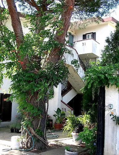 Apricot בית חווה פוליקורו