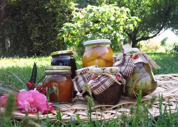 Apricot בית חווה *